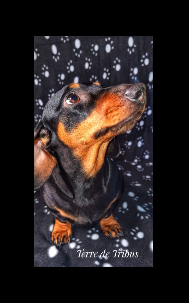 Rio De La Croix De Camargue